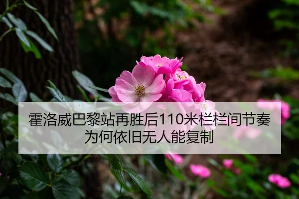 霍洛威巴黎站再胜后110米栏栏间节奏为何依旧无人能复制