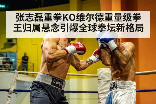 heavyweight boxing match